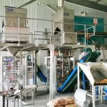 Twee eenhede Millet outomatiese verpakkingsmasjien voltooi installasie en ontfouting by ons kliëntfabriek