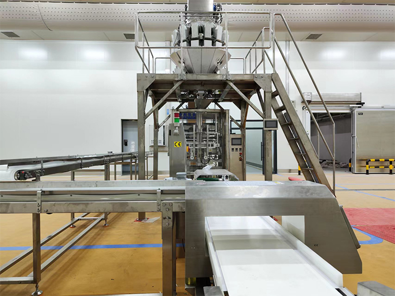 outomatiese verpakkingsmasjien vir bevrore kos.6